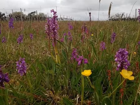 recherche dpb a acheter environ 10