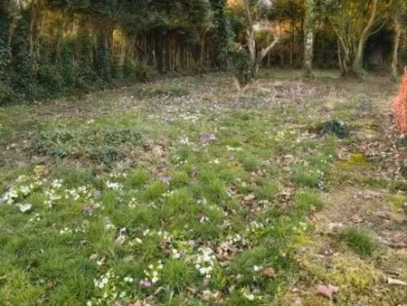 propriétaire remet en vente un terrain constructible de 361 m2 en lot arrière exposition p