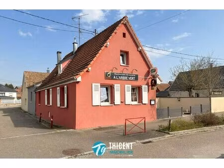 ensemble immobilier rare à vendre à mertzwiller - maison + res