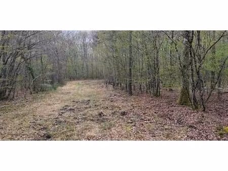 maison romorantin-lanthenay (41)