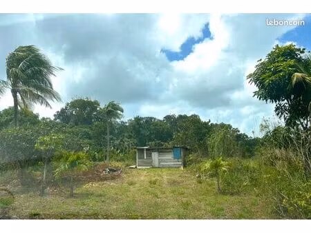 terrain agricole macouria (savane trois rois)