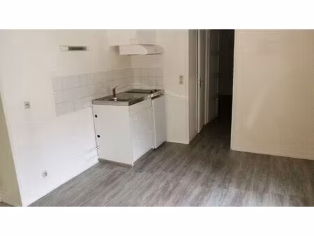 appartement 2 pièces 29 m²  centre-ville sur cour  calme