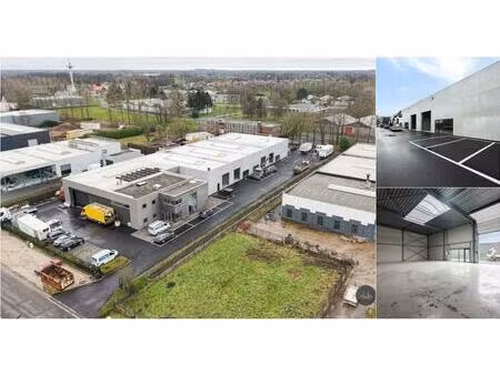 surface industrielle à louer à hellegatstraat 10 berlaar (rbv69684)