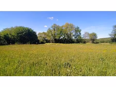 grand terrain constructible proche de gourdon
