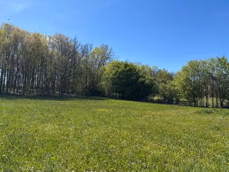 terrain constructible