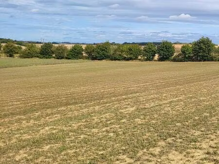 terrain constructible