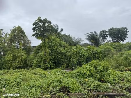 terrain 165 m² cayenne