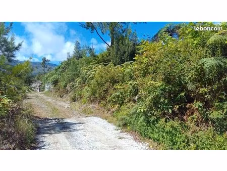 terrain 500 m² la plaine-des-palmistes