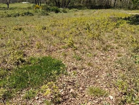 vente terrain constructible près sarlat