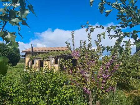 maison■maison dviron 26 m² en terre/paille/bois.■terrain de 7 500 m² avec jardin devant.■r