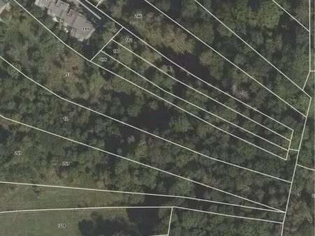 terrain boisé en zone vert