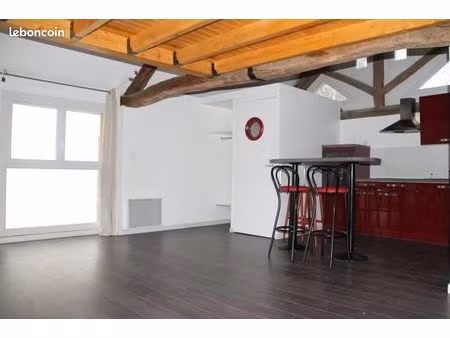 loft 1 pièce 30 m²