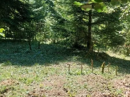 terrain à louer – 2 060 m² – doucier (39)