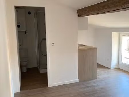 studio 1 pièce 20 m²