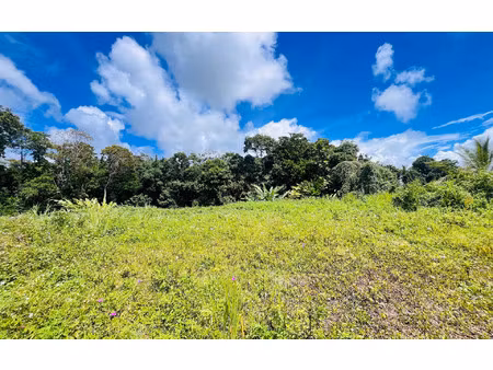 terrain petit-bourg m² t- à vendre  218 000 €