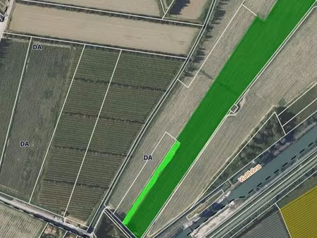 vente de terrains agricoles  plaine de beaucaire