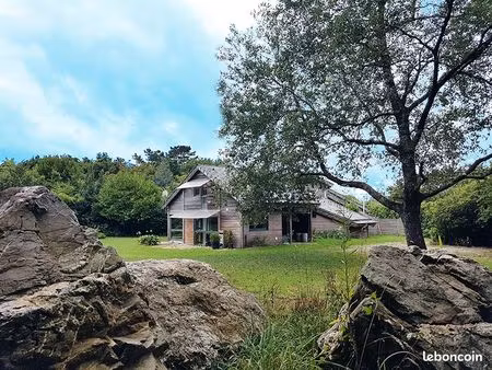 maison et grand terrain