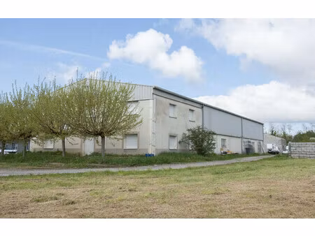 local professionnel de 712 m² à st just de claix - 500 000 €