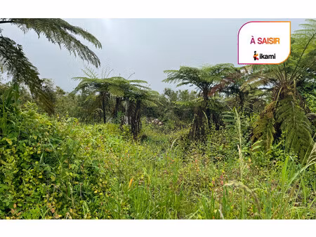 terrain à batir de 469 m² à la plaine des palmistes - 83 600 €