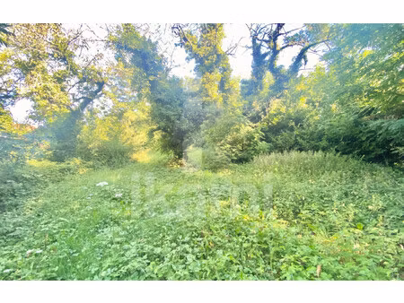 terrain à batir de 986 m² à manthes - 76 000 €