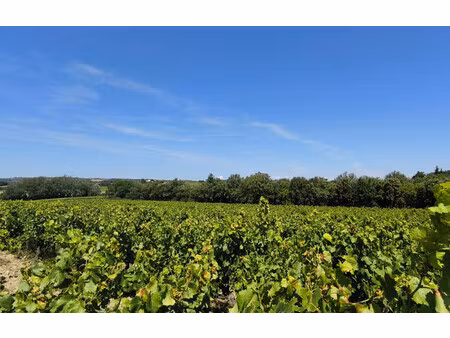 terrain agricole de 200 000 m² à visan - 498 000 €