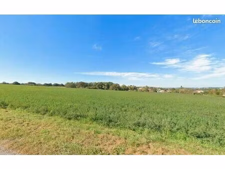 terrain 1 030 m² lauzerville