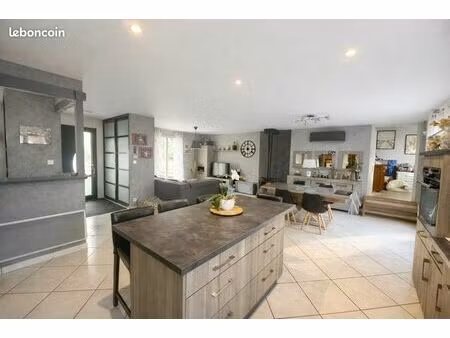 maison familiale 140m2 avec piscine  garage 124m2  cuisine d'été et pool house