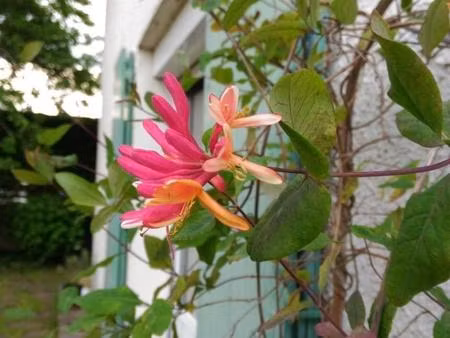 jolie maison familiale - performance énergétique optimisée = emprunt facilité