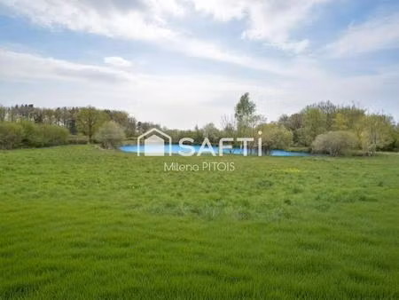 environnement équestre