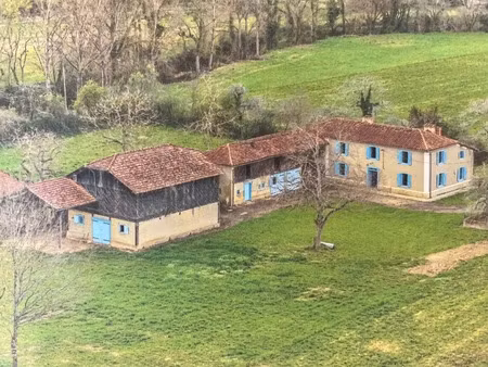 maison gasconne et dépendances vue pyrénées  calme absolu