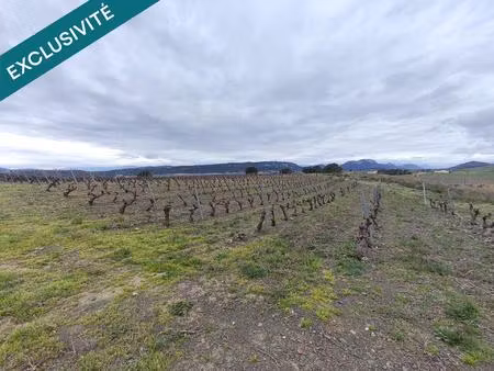 ensemble de parcelles agricoles et viticoles – tautavel (66)