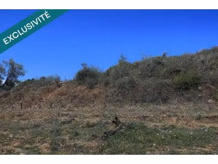 parcelle agricole – secteur tautavel