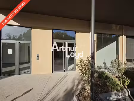 vente local d’activités cagnes-sur-mer 06800 137m² à 390m²