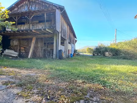 vente ferme 1 pièce 648 m² à belesta (09300)  95 000 €