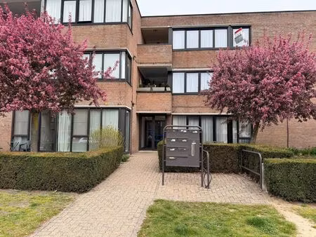 appartement te huur in vosselaar met 1 slaapkamer
