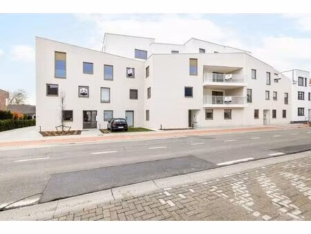 appartement te huur in willebroek met 2 slaapkamers