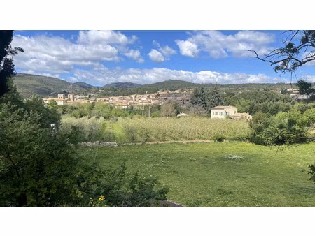 vente maison 5 pièces 214 m² caunes-minervois (11160)