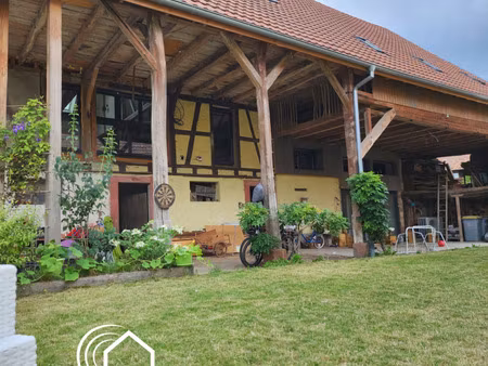 5min selestat - maison 325 m²  jardin  vue exceptionnelle  situation +++