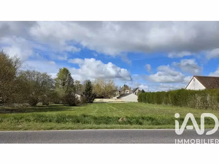 terrain à bâtir à muides-sur-loire (41500)