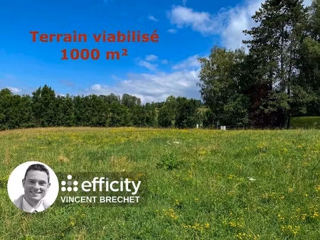 terrain - 1000 m²