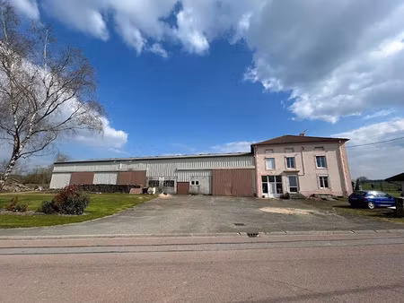 vente maison 7 pièces 207 m² à escles (88260)  199 800 €