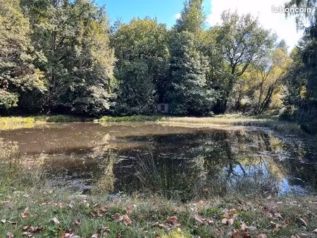 terrain 18 480 m² jumilhac le grand