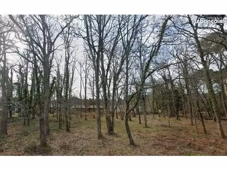 terrain 773 m² hourtin