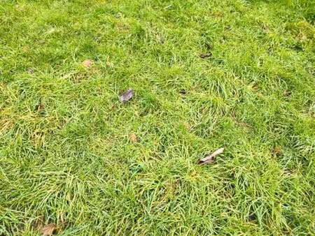 terrain 427 m² grandchamp des fontaines