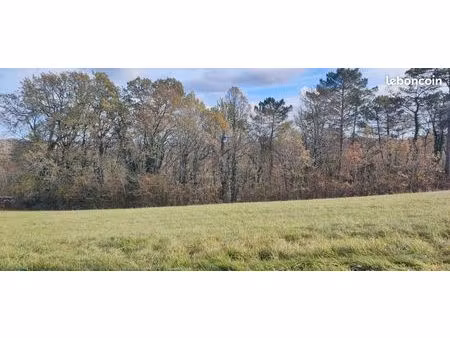 terrain constructible