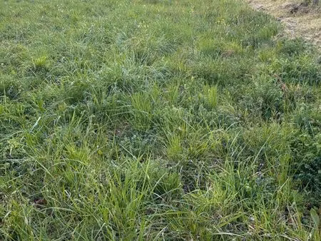 terrain constructible coligny