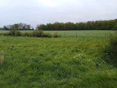 ce n’est pas un terrain. c’est le début de votre histoire