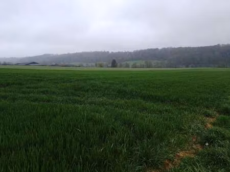 vente terrain à saint-mard-de-réno (61400) : à vendre / 19000m² saint-mard-de-réno