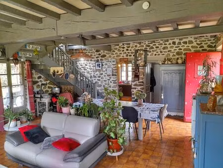 charmante demeure en pierre avec vaste sous-sol et jardin paysager