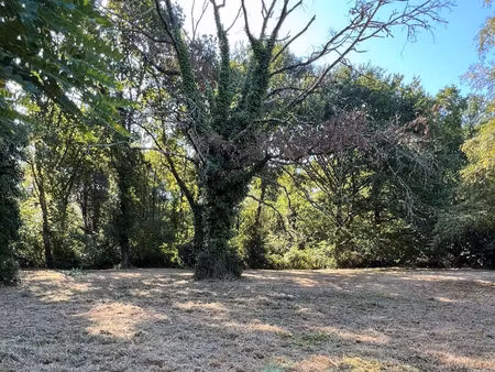lacanau de mios - propriété foncière rare de 7 777 m² avec potentiel de construction